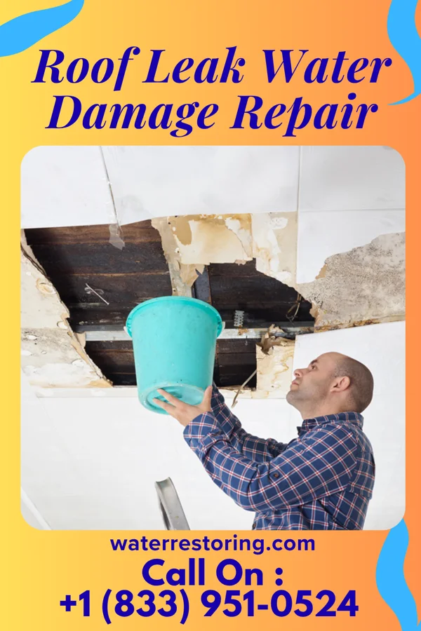 Roof Leak Water Damage Repair in Flat Willow Colony, MT